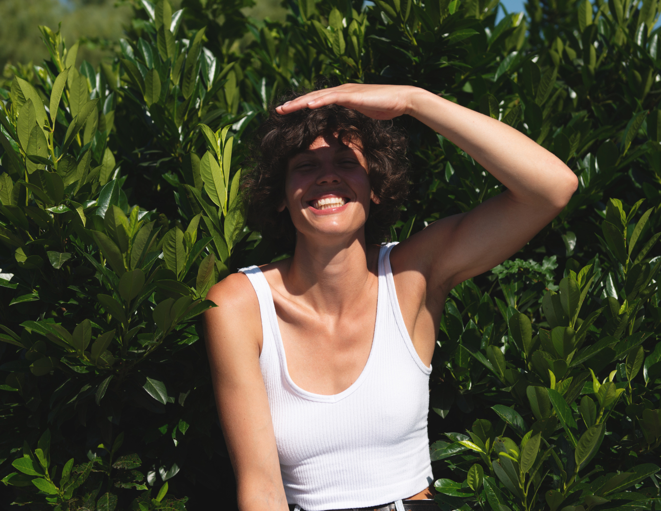 Daily Wellness Essentials