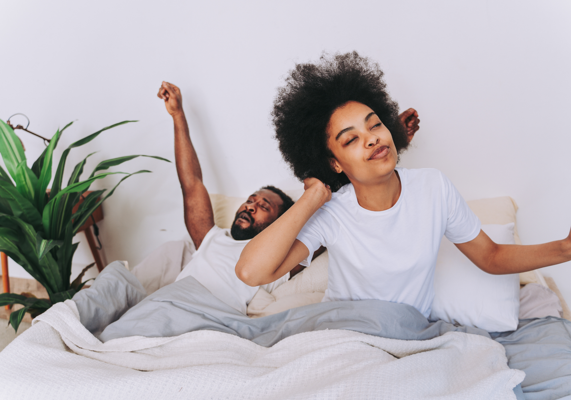 Herbal teas alcohol free tincture natural organic get green human health