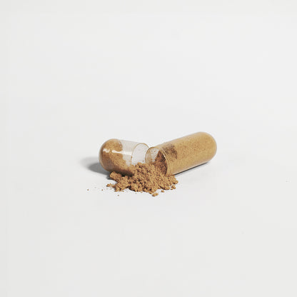 Liver Support (w/ Turmeric) Capsules