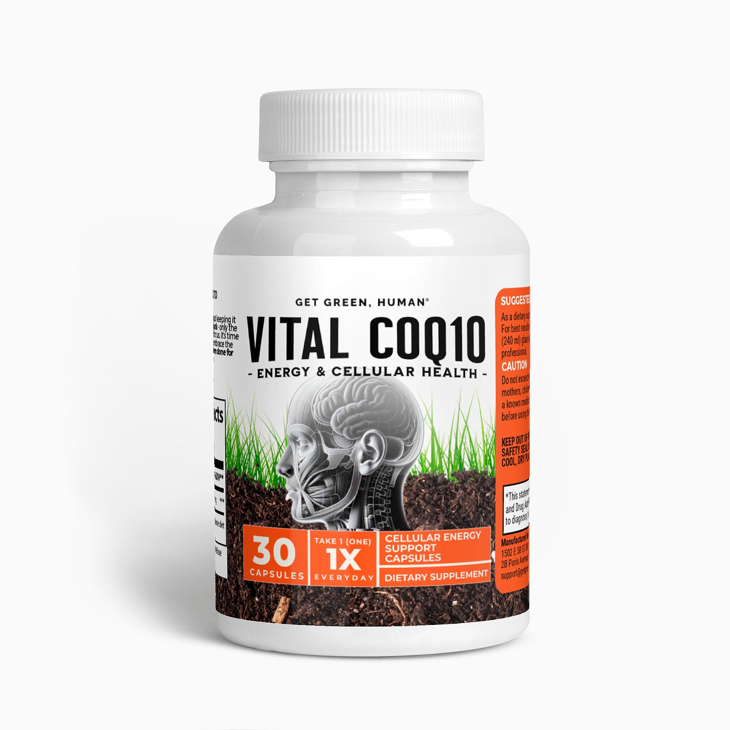 CoQ10 Ubiquinone Capsules