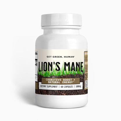 Lion's Mane Mushroom Cognitive Boost