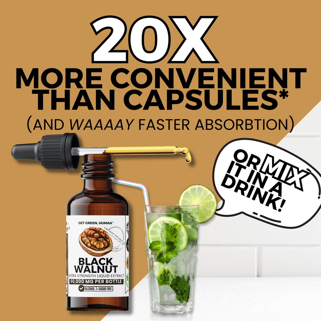 Black Walnut Tincture | Gut Health & Natural Detox Support
