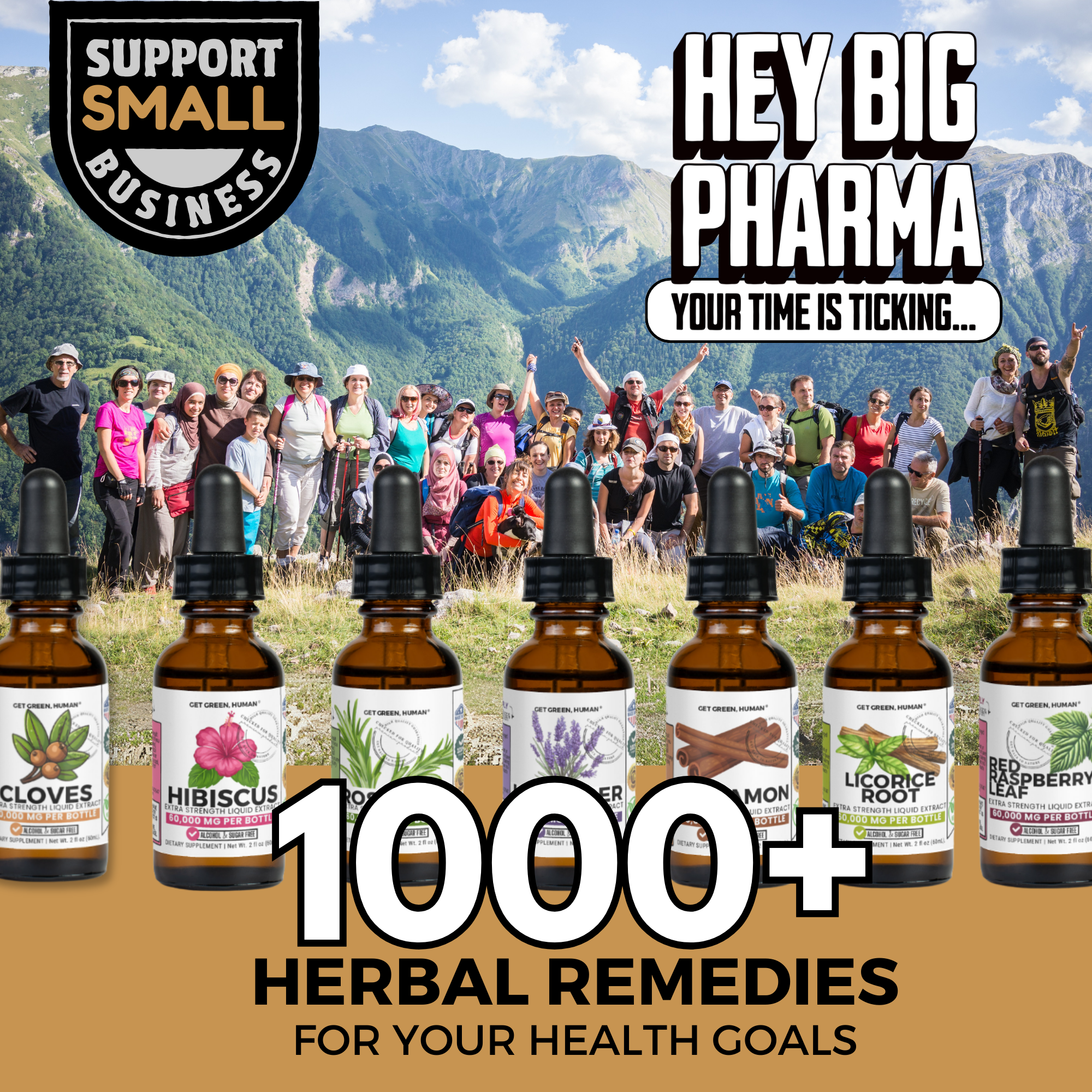 Black Walnut Tincture | Gut Health & Natural Detox Support