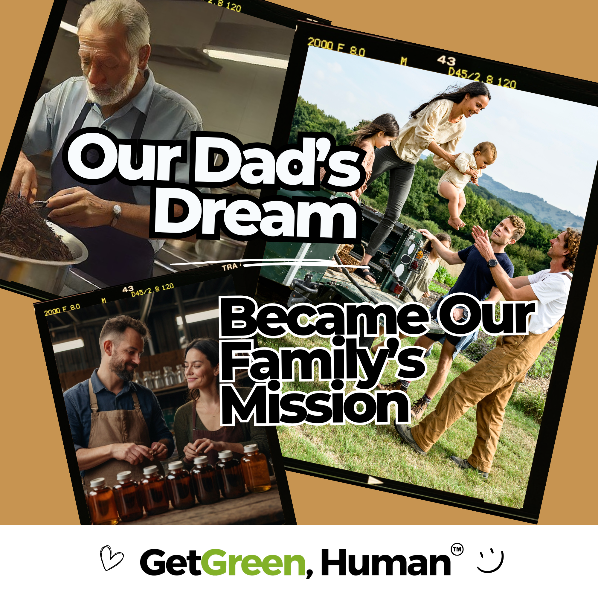 Black Walnut Tincture | Gut Health & Natural Detox Support