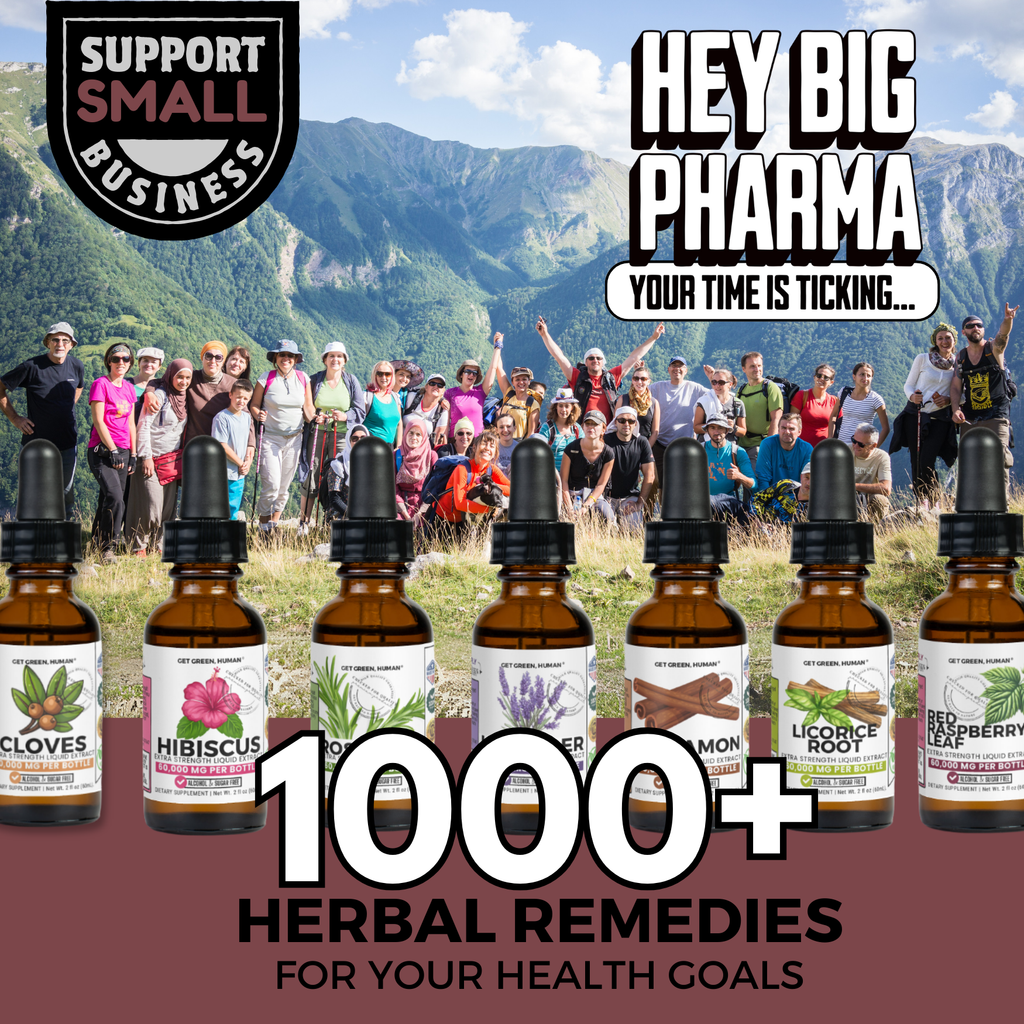 Burdock Root Tincture | Skin, Liver & Detox Support