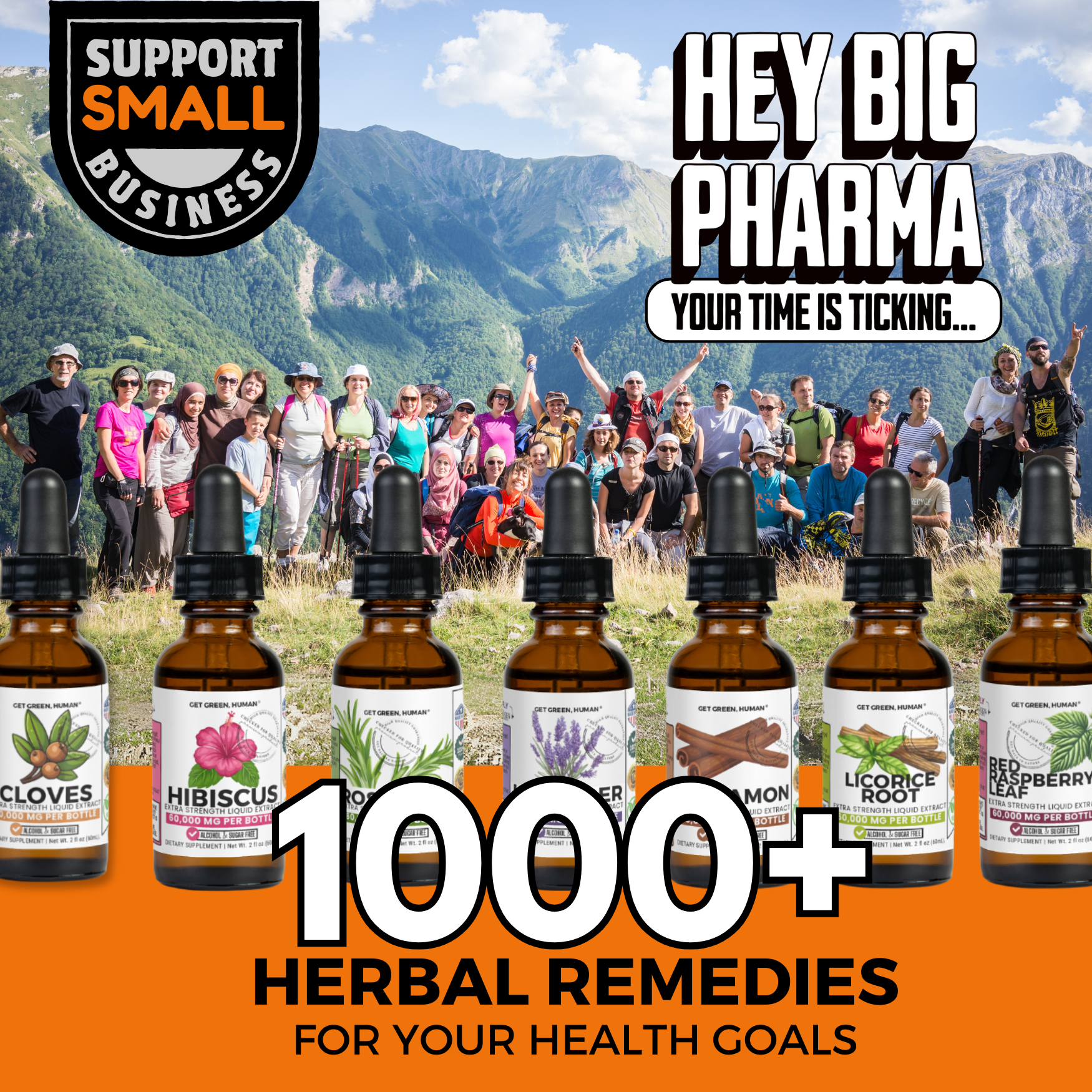 California Poppy Tincture | Sleep, Relaxation & Nervous System Support