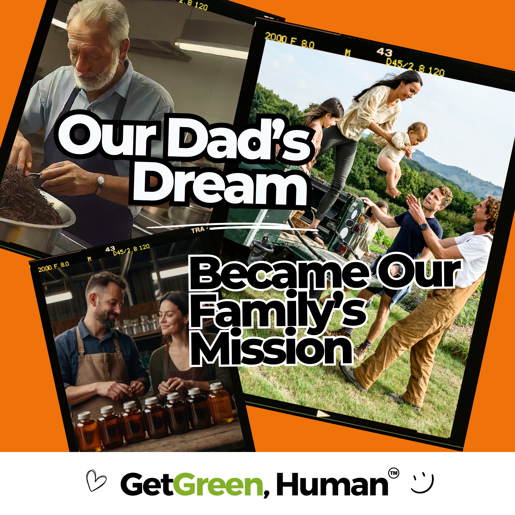 California Poppy Tincture | Sleep, Relaxation & Nervous System Support