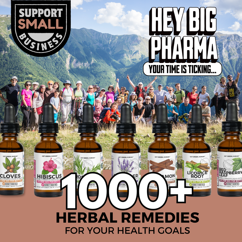 Cinnamon Tincture | Blood Sugar & Circulation Support