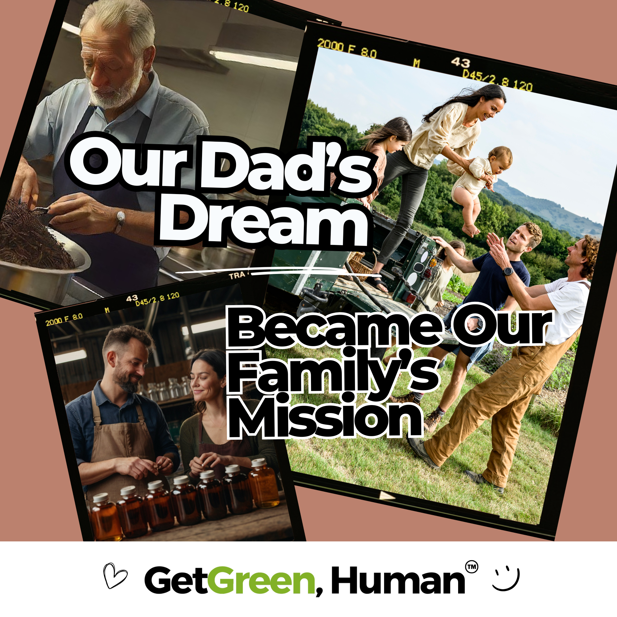 Cinnamon Tincture | Blood Sugar & Circulation Support