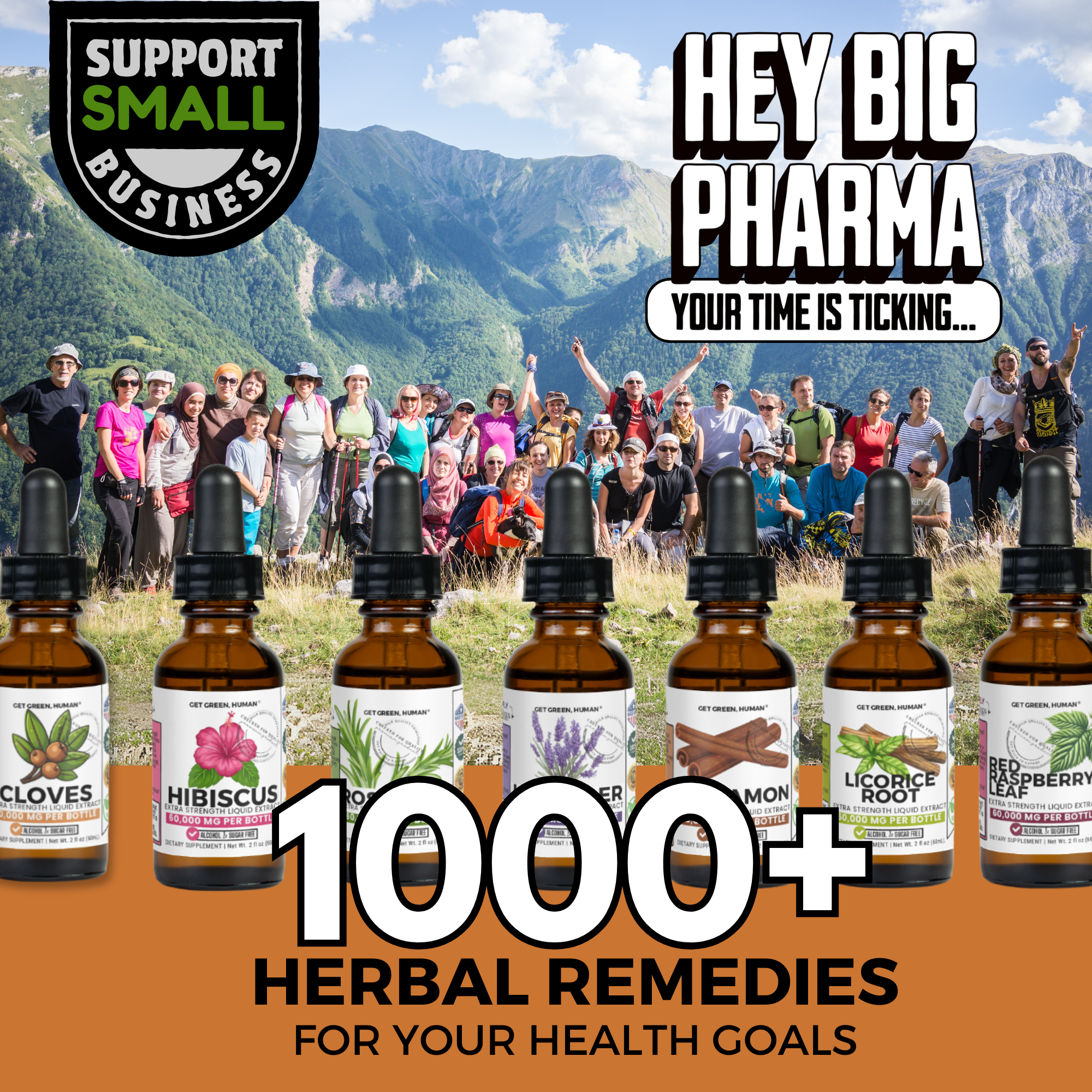 Clove Tincture | Digestive, Oral & Immune Support