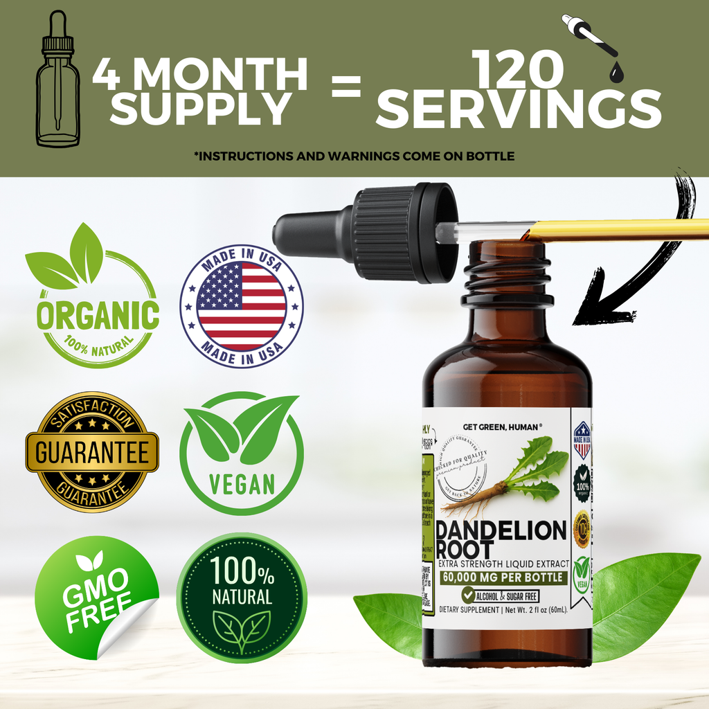 Dandelion Root Tincture | Liver, Digestion & Skin Support