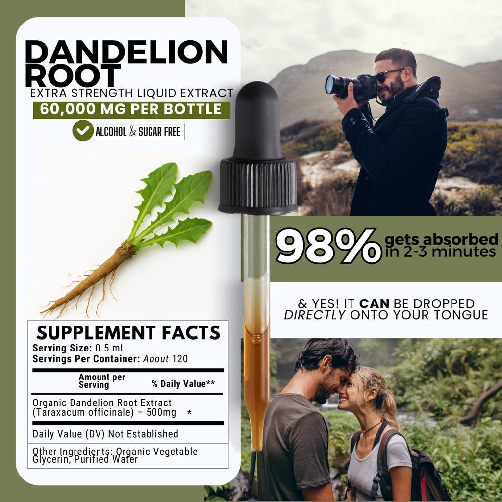 Dandelion Root Tincture | Liver, Digestion & Skin Support