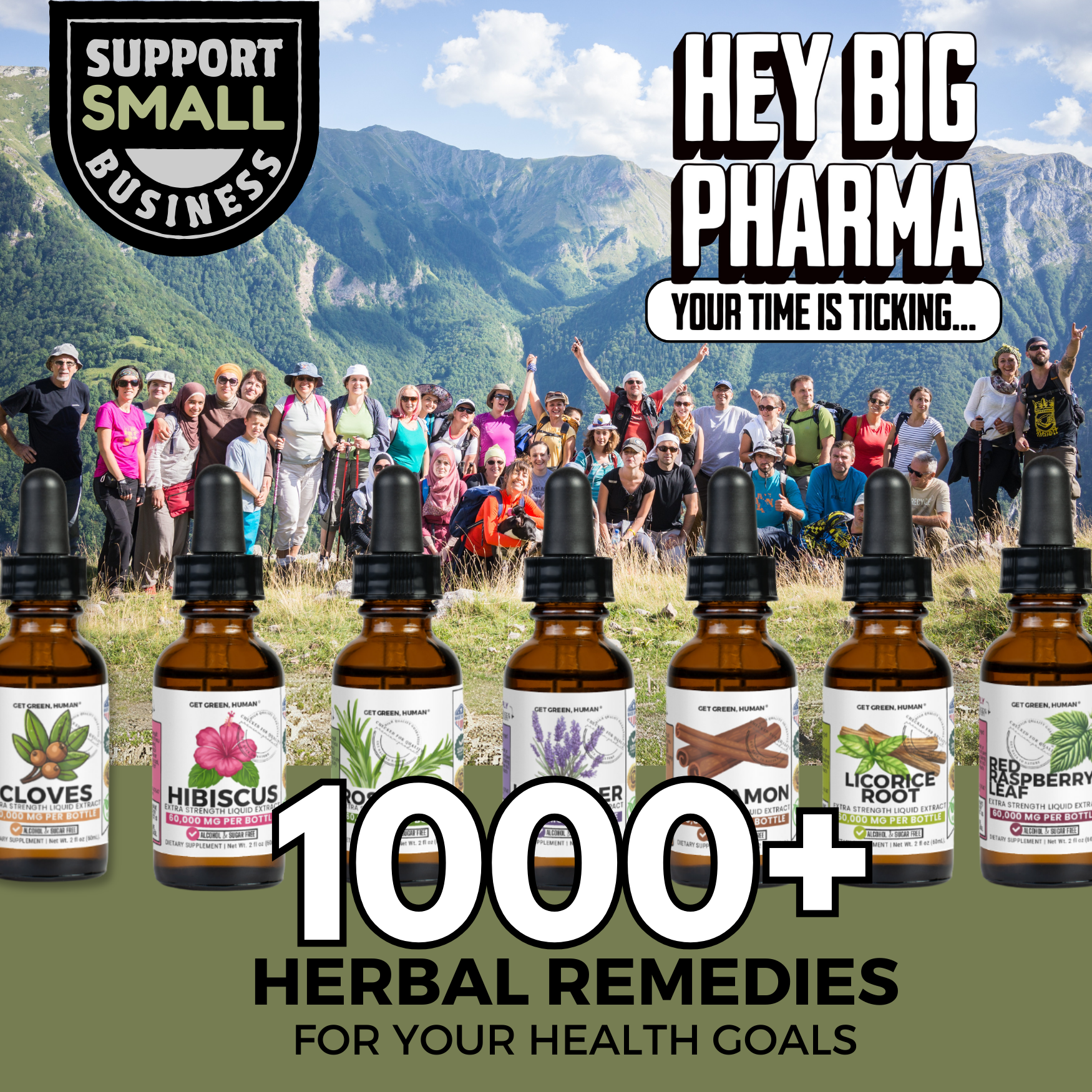 Dandelion Root Tincture | Liver, Digestion & Skin Support