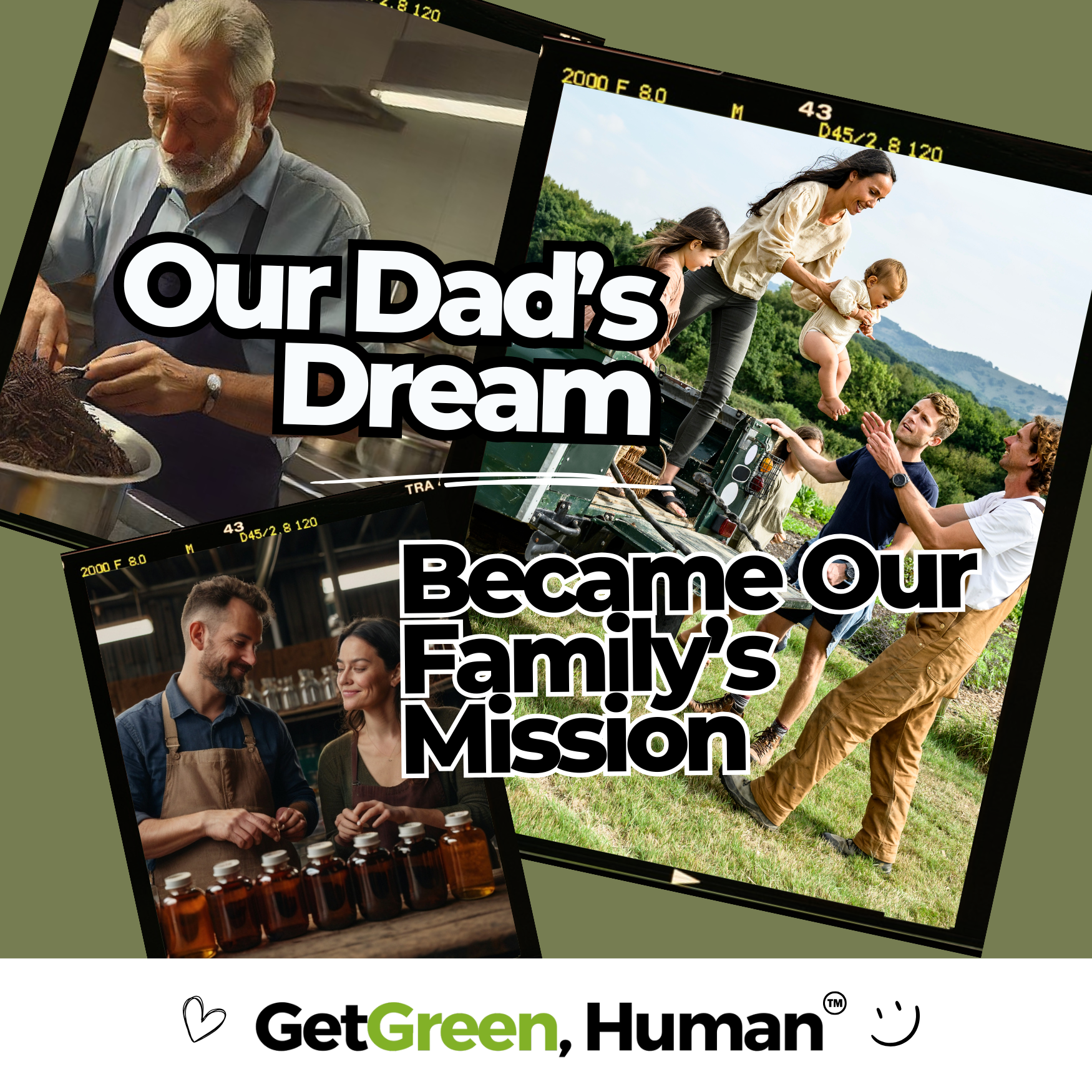 Dandelion Root Tincture | Liver, Digestion & Skin Support