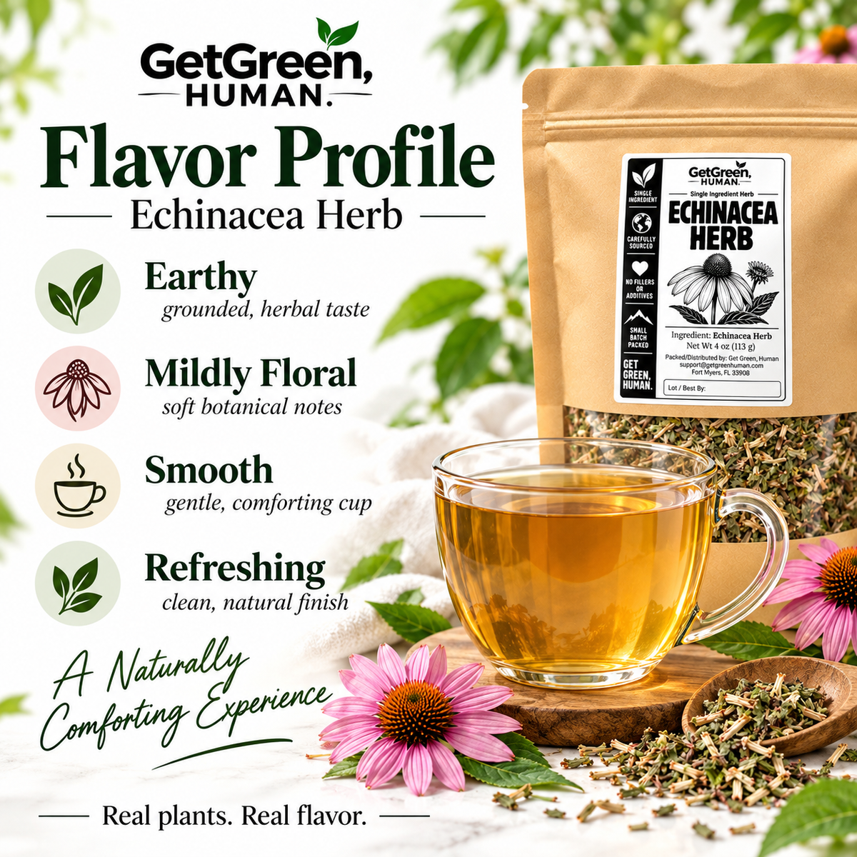 Echinacea Single Herb