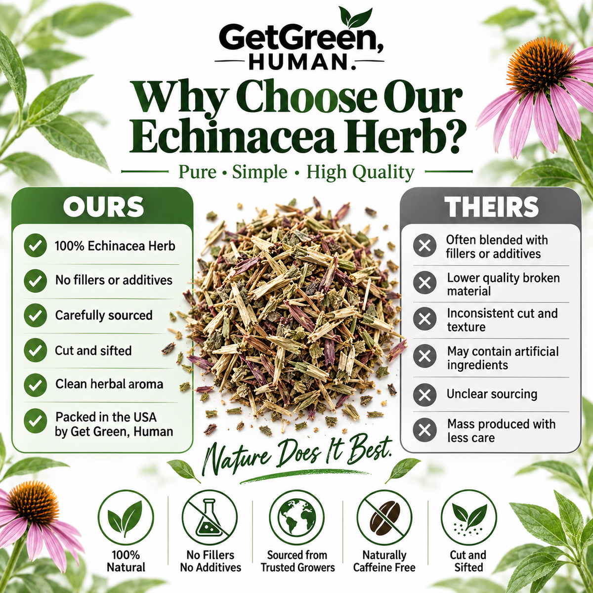 Echinacea Single Herb