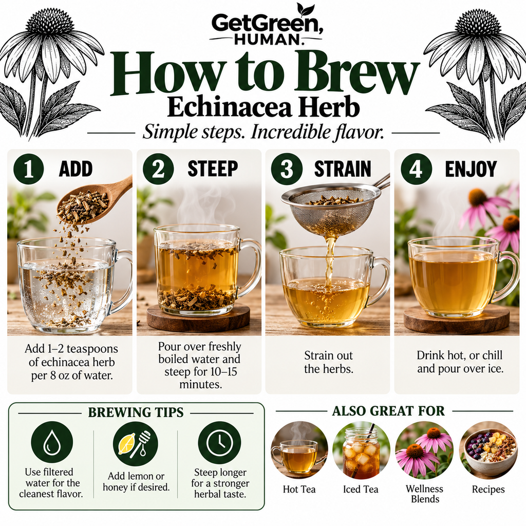 Echinacea Single Herb