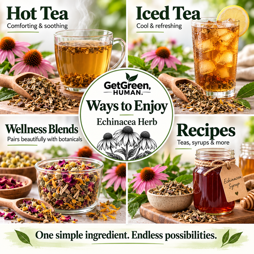 Echinacea Single Herb