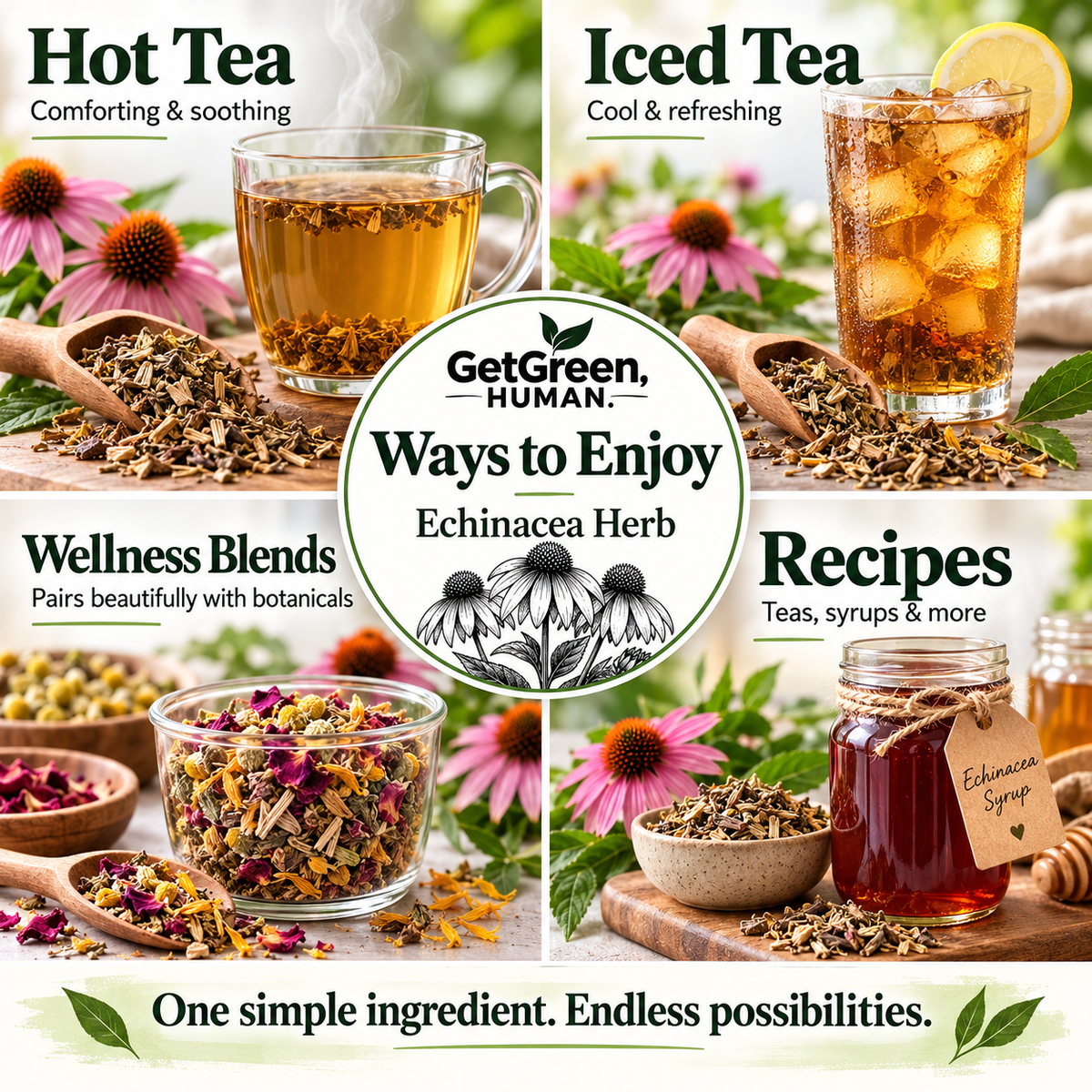Echinacea Single Herb