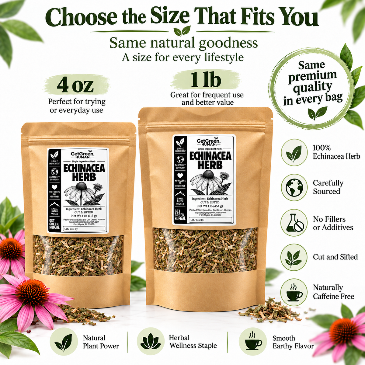 Echinacea Single Herb