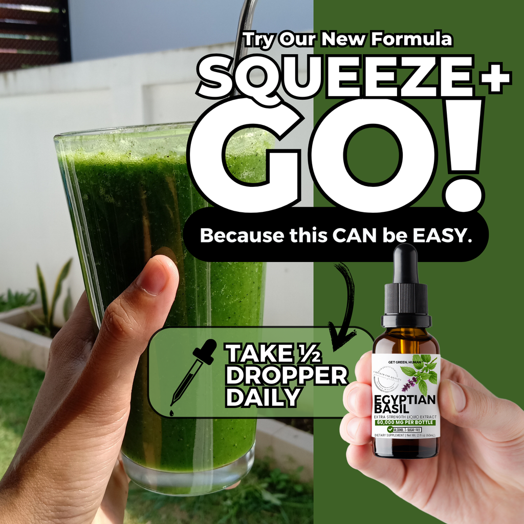 Egyptian Basil Tincture | Stress, Focus & Immune Support