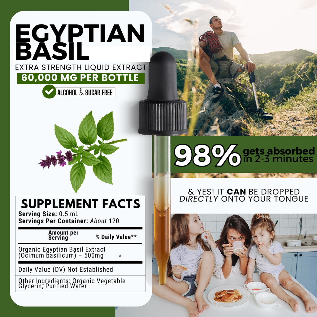 Egyptian Basil Tincture | Stress, Focus & Immune Support