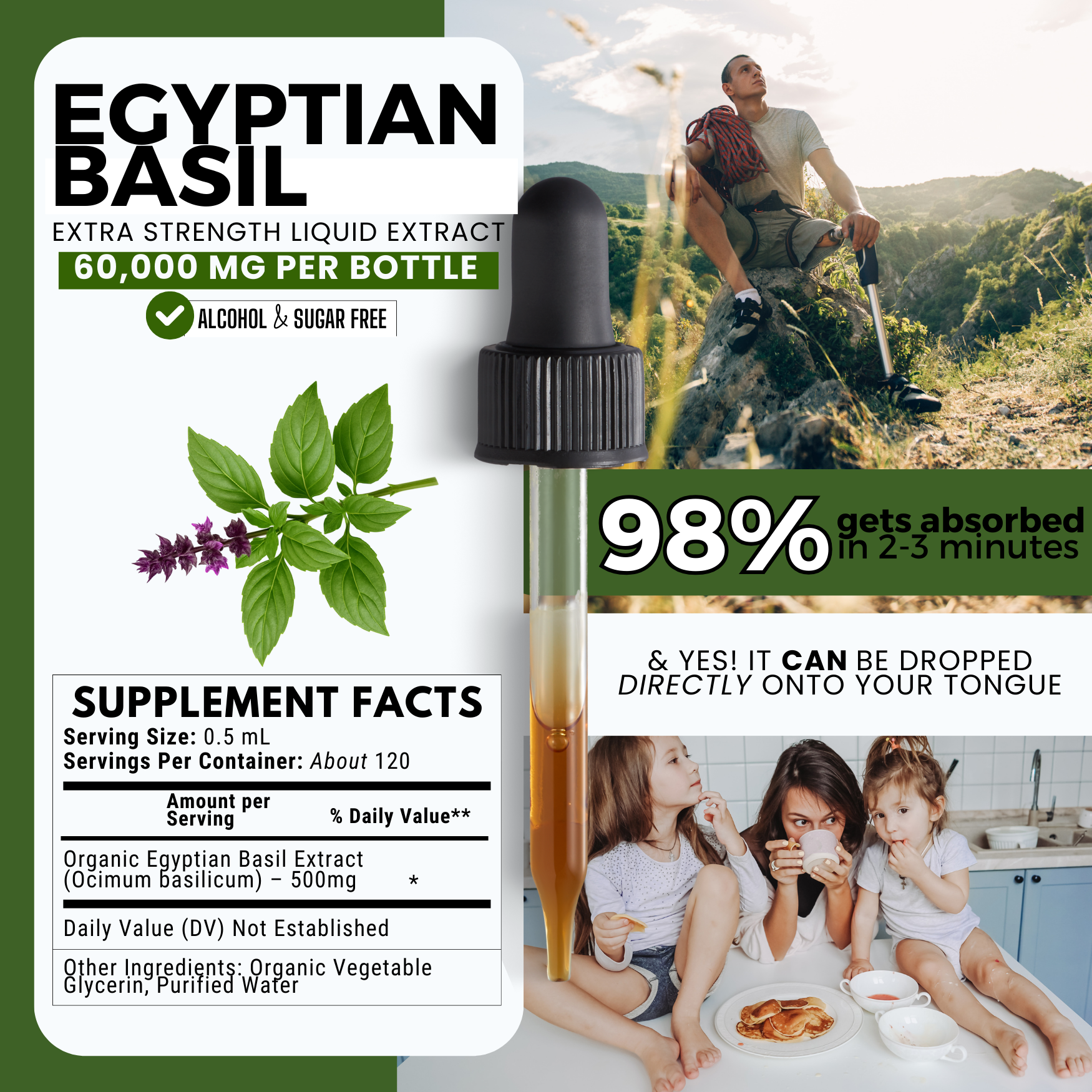Egyptian Basil Tincture | Stress, Focus & Immune Support