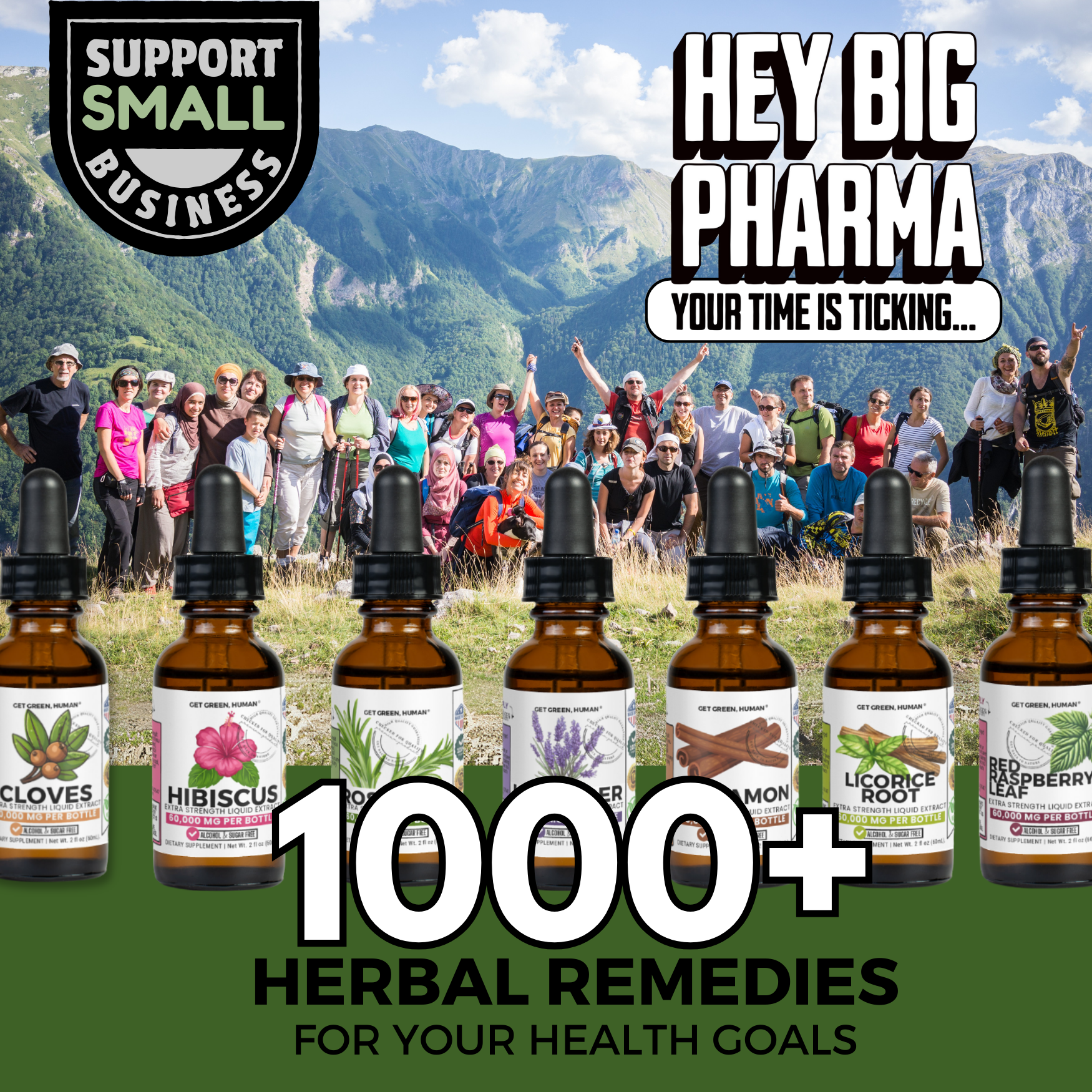 Egyptian Basil Tincture | Stress, Focus & Immune Support