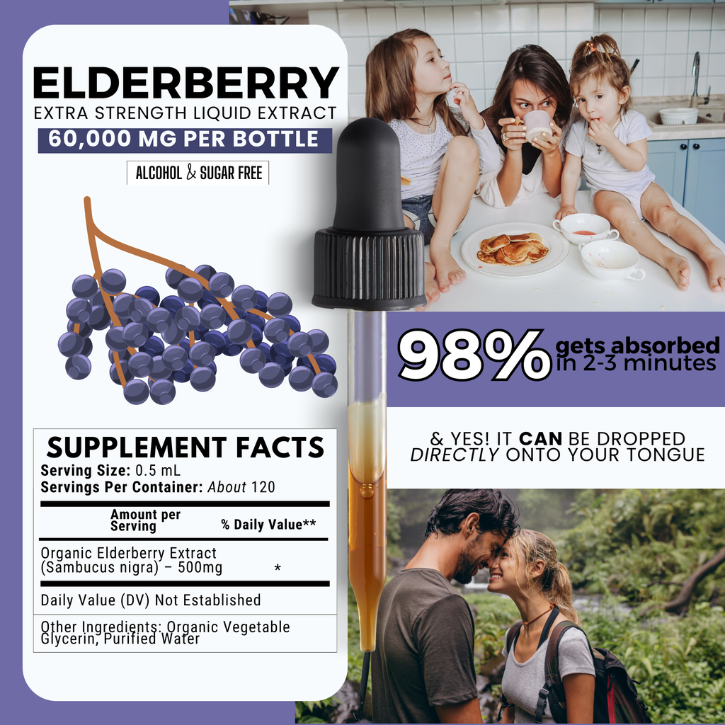 Elderberry Tincture | Immune & Antioxidant Support