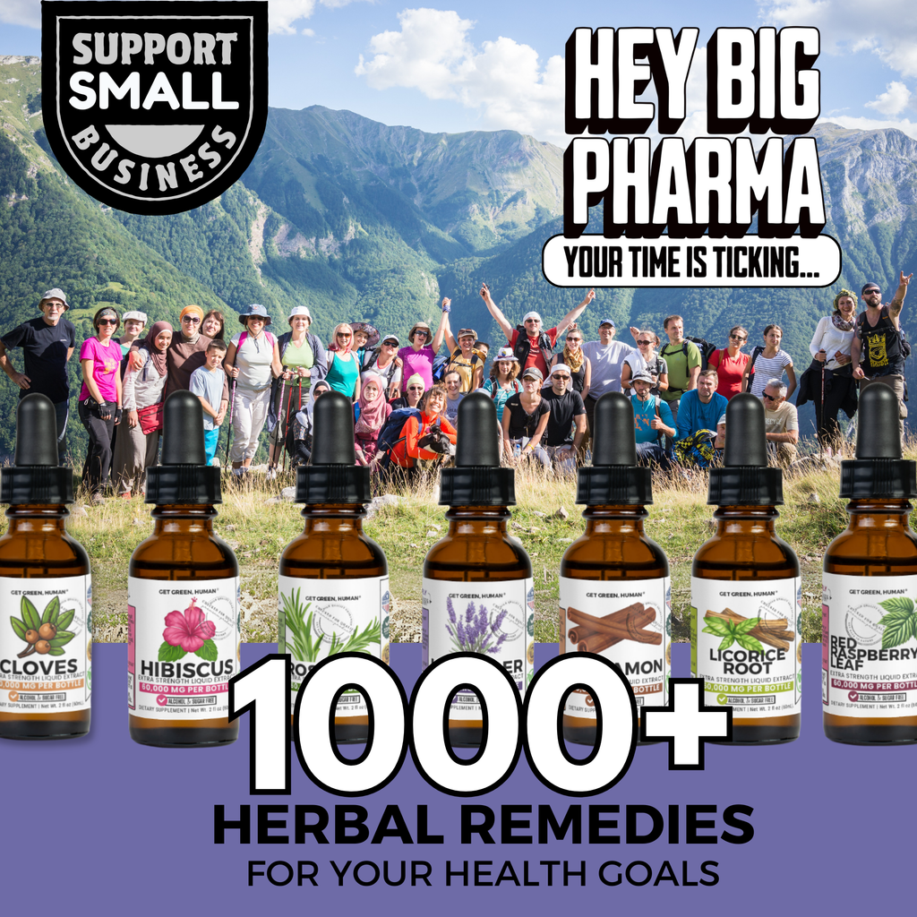 Elderberry Tincture | Immune & Antioxidant Support