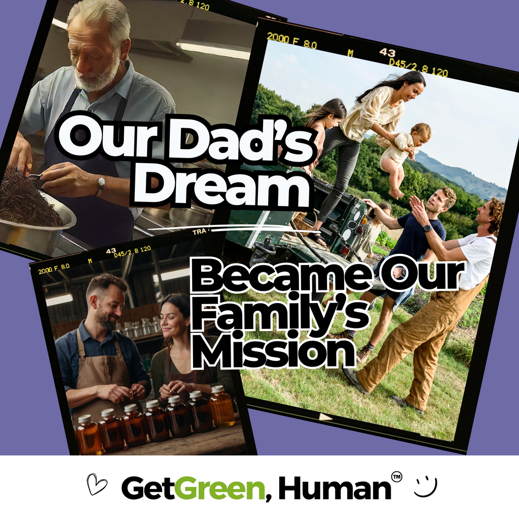 Elderberry Tincture | Immune & Antioxidant Support