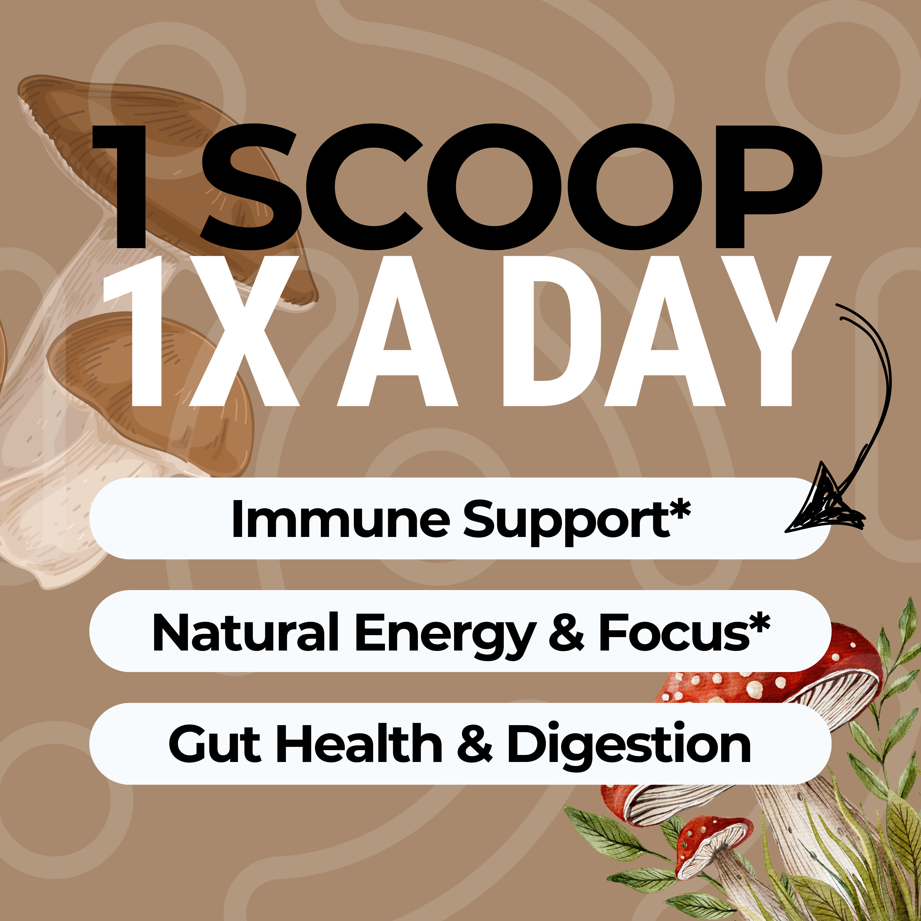 Fermented Mushroom Complex