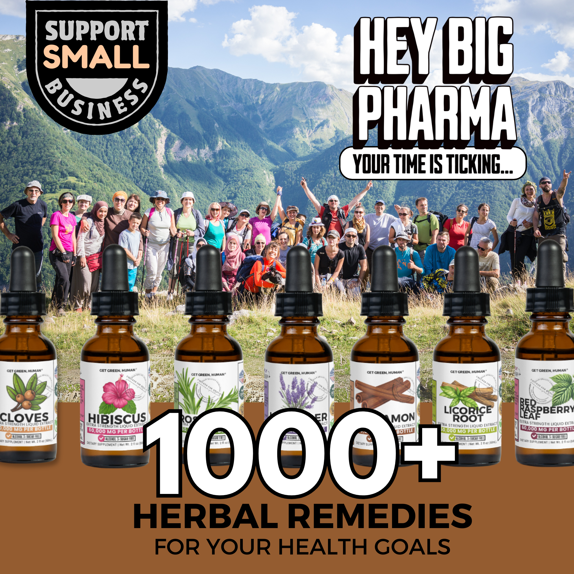 Ginger Root Tincture | Digestive, Nausea & Immune Support