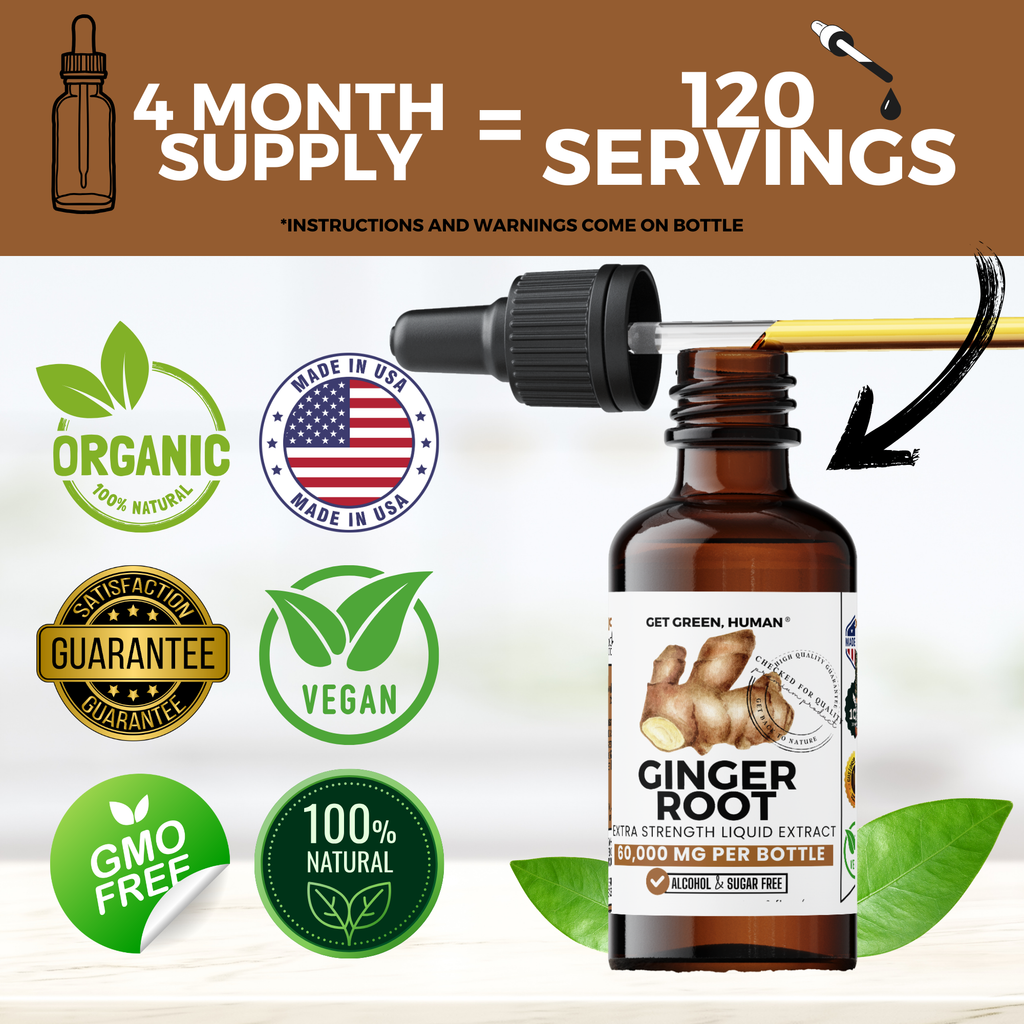 Ginger Root Tincture | Digestive, Nausea & Immune Support