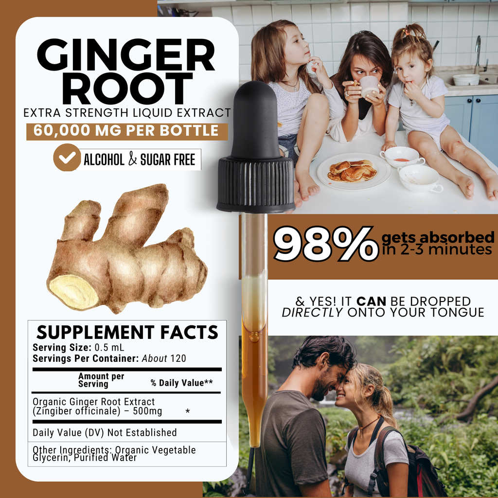 Ginger Root Tincture | Digestive, Nausea & Immune Support