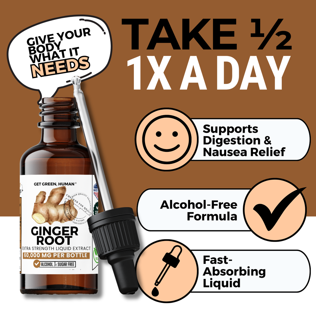 Ginger Root Tincture | Digestive, Nausea & Immune Support
