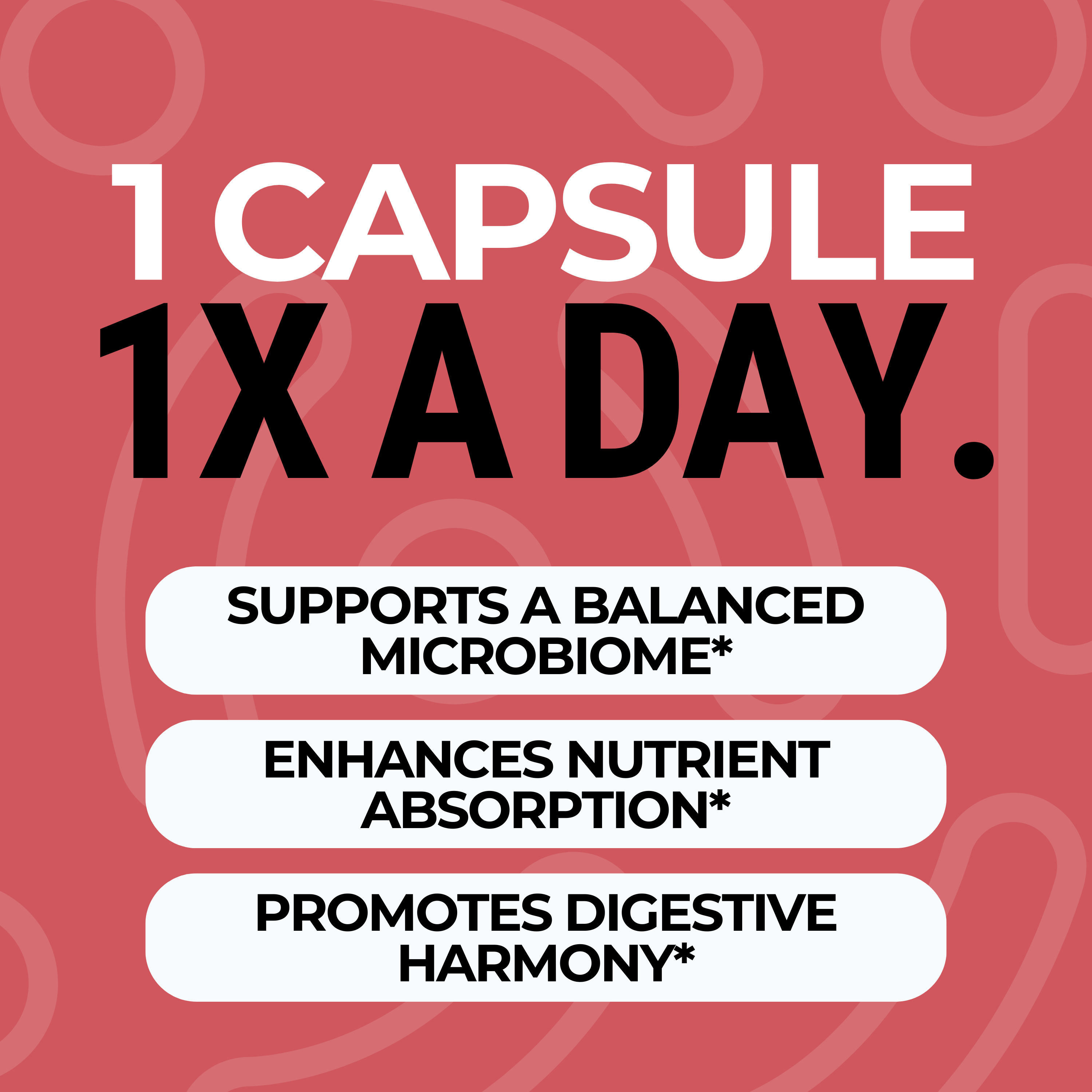 Gut Balance Capsules with Fulvic Acid