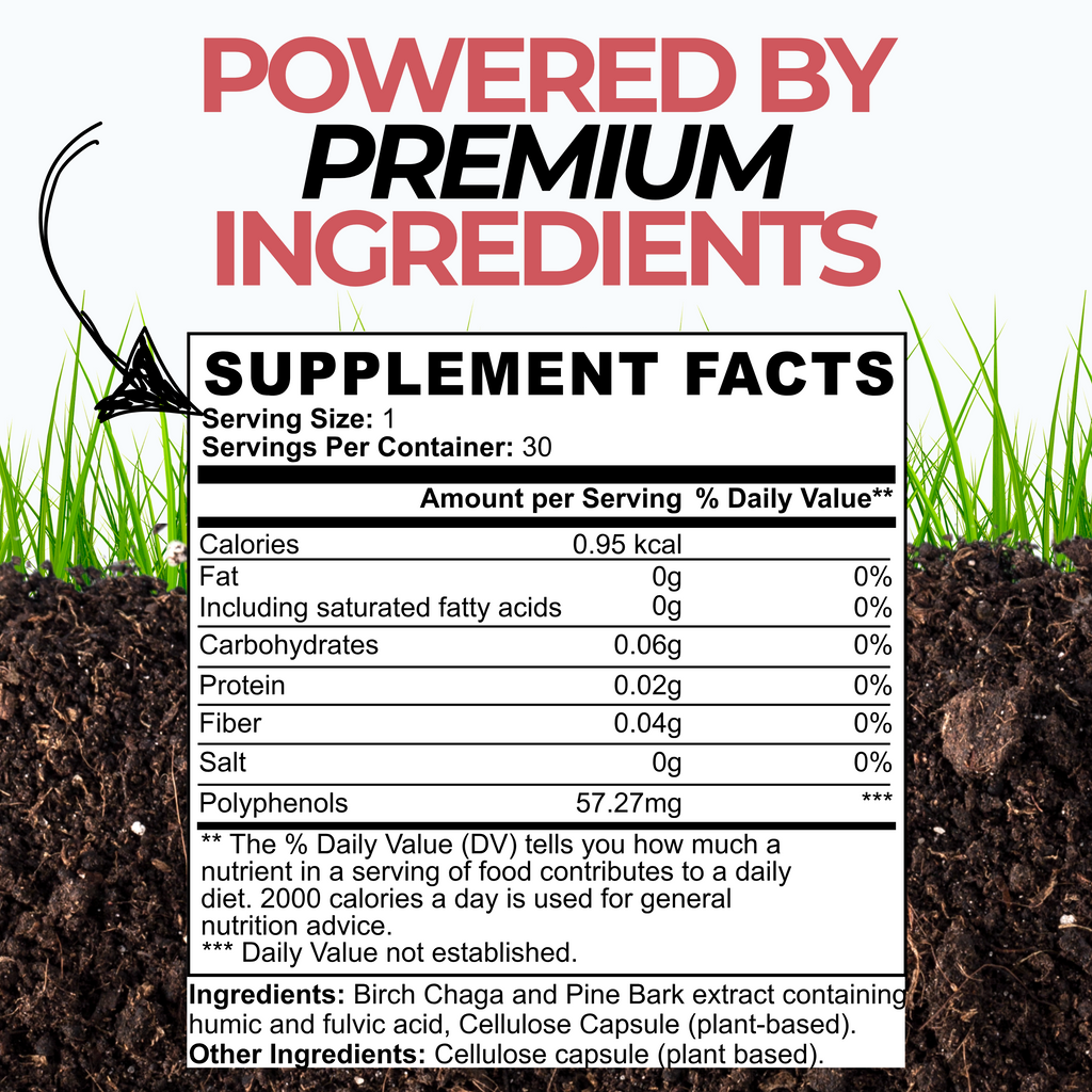 Gut Balance Capsules with Fulvic Acid