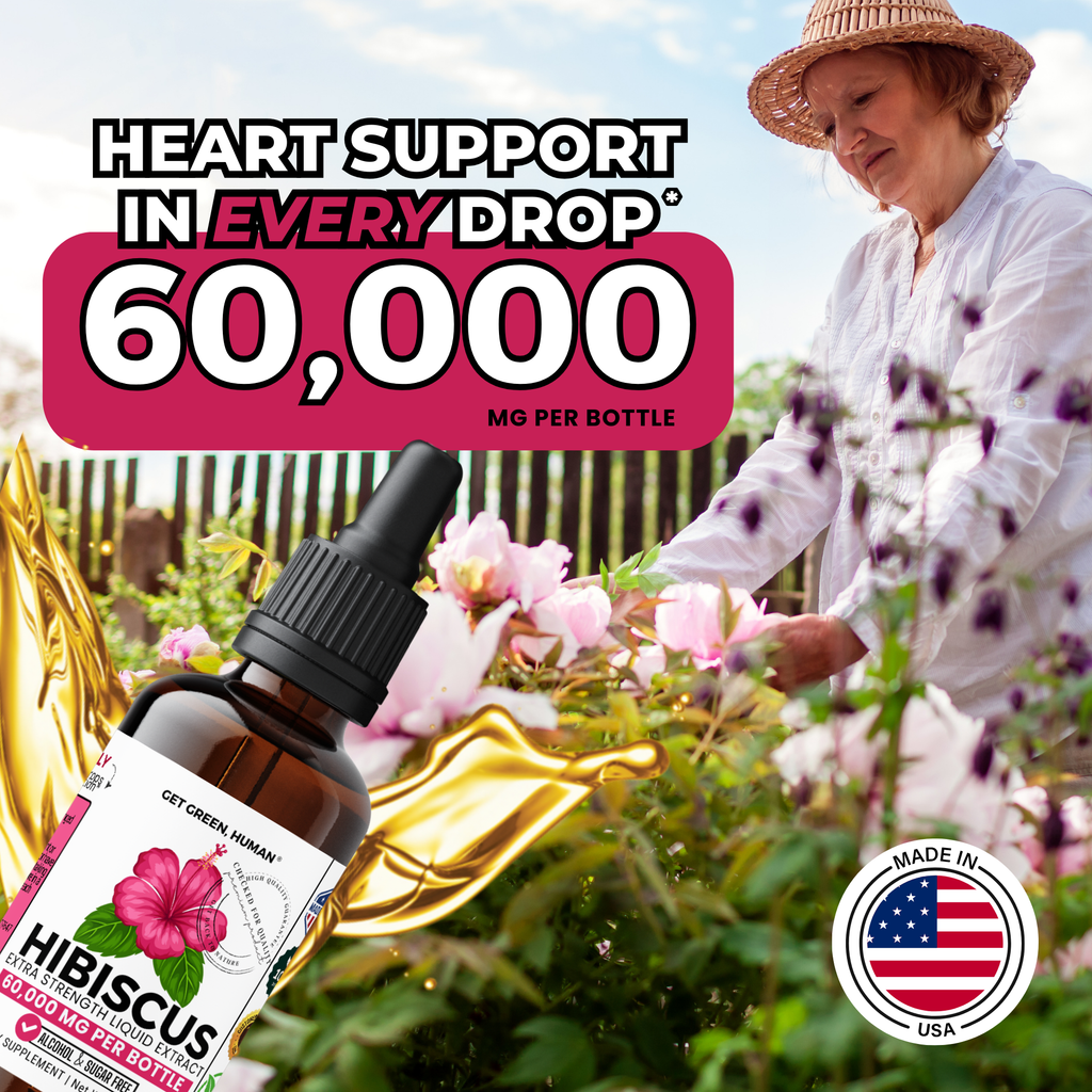 Hibiscus Tincture | Heart, Circulation & Antioxidant Support