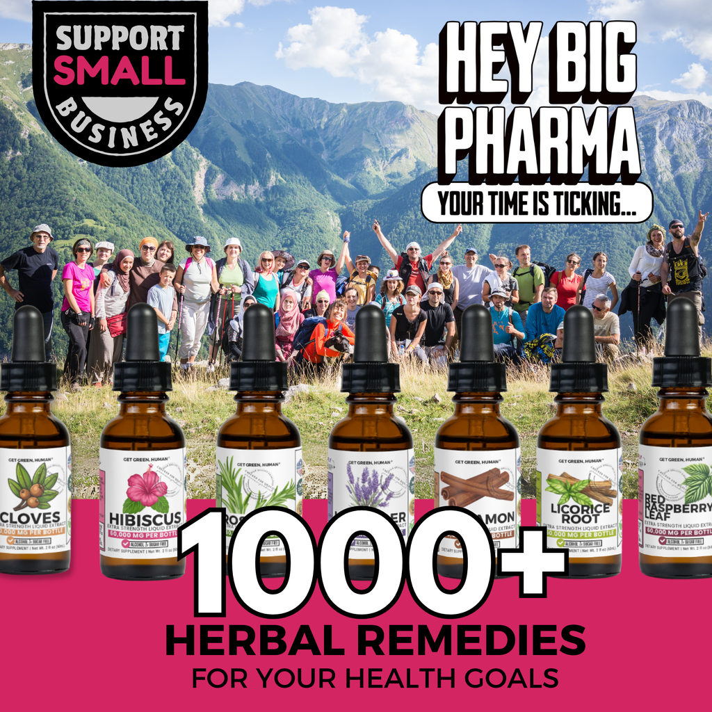 Hibiscus Tincture | Heart, Circulation & Antioxidant Support