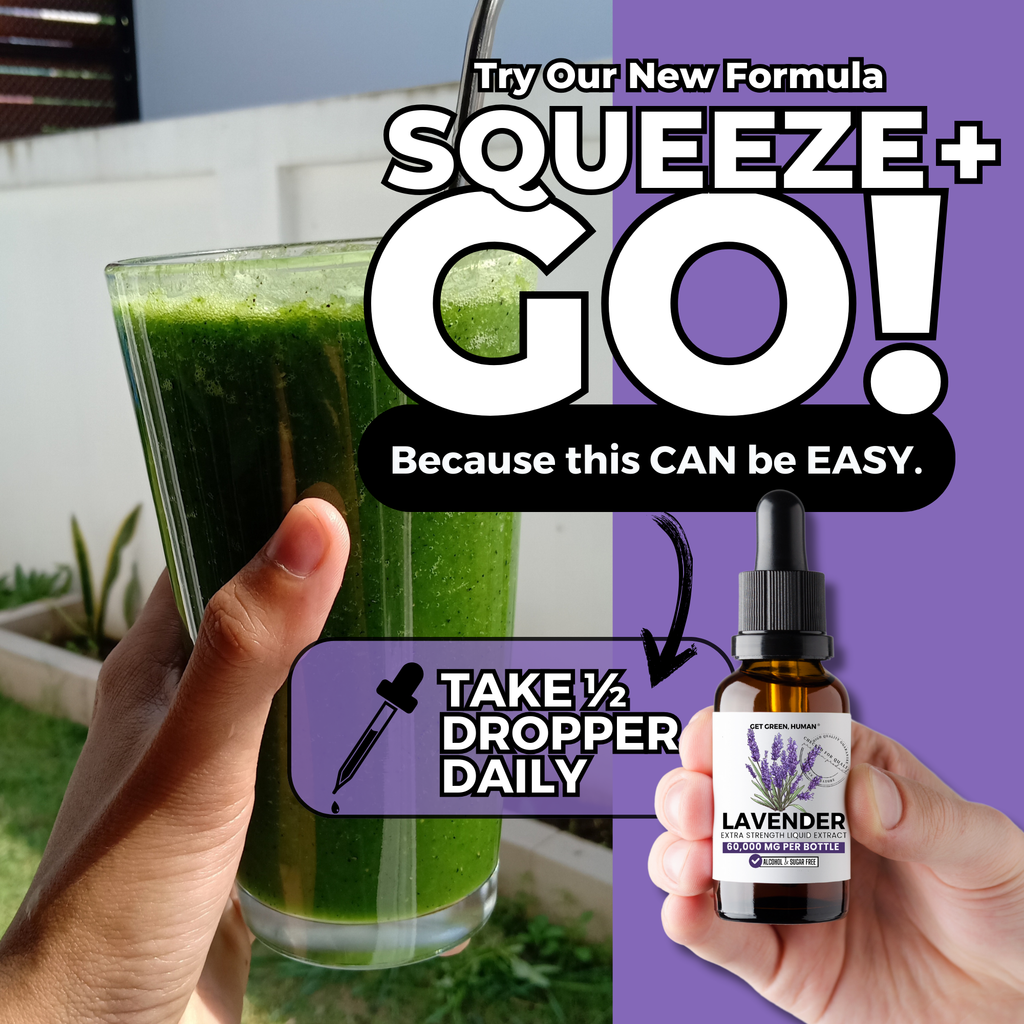 Lavender Tincture | Relaxation & Sleep Support