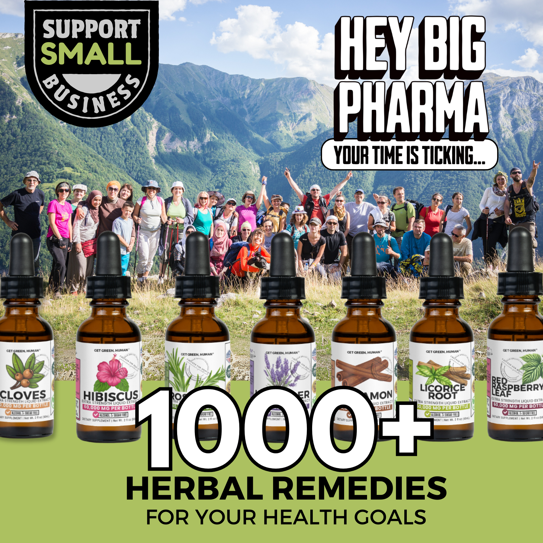 Lemongrass Tincture | Digestion, Bloating & Cleanse Support