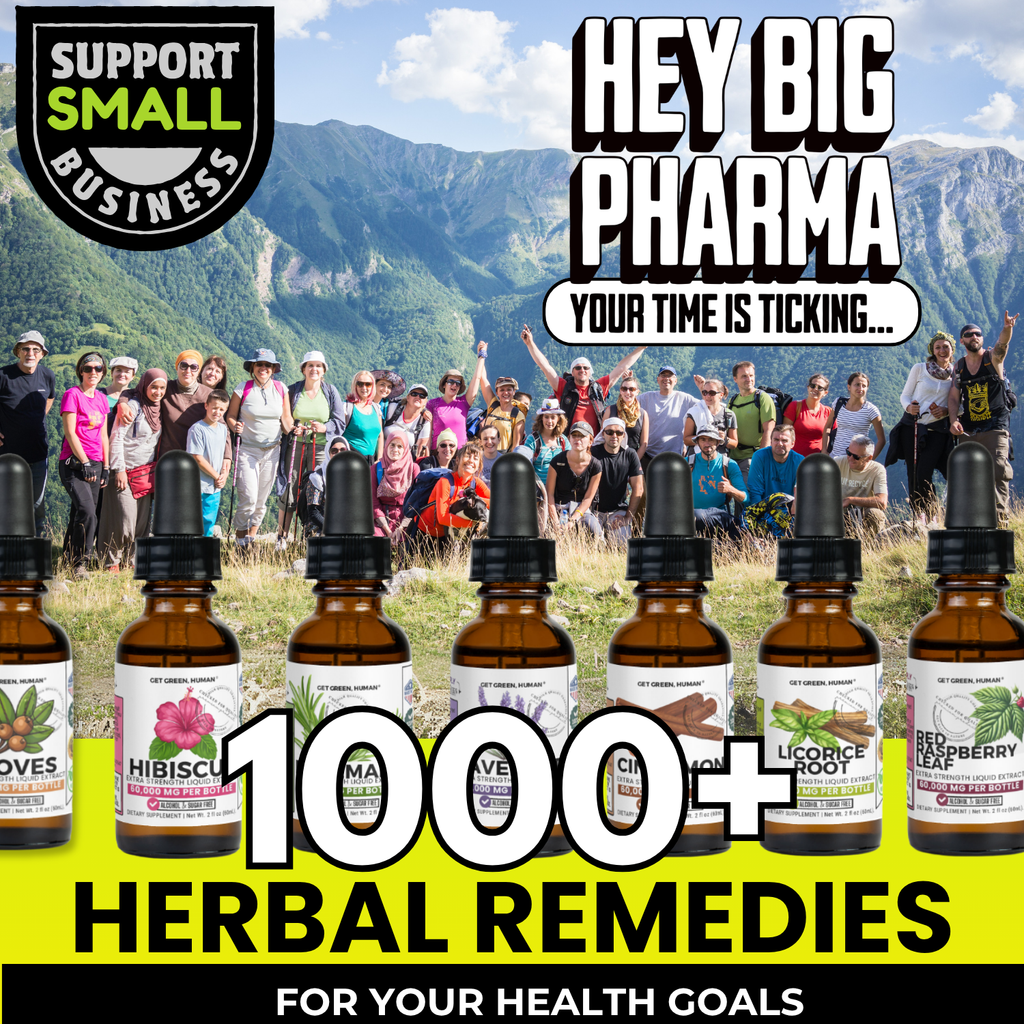 Liver Reset Bundle | Herbal Tea & Milk Thistle Tincture Duo
