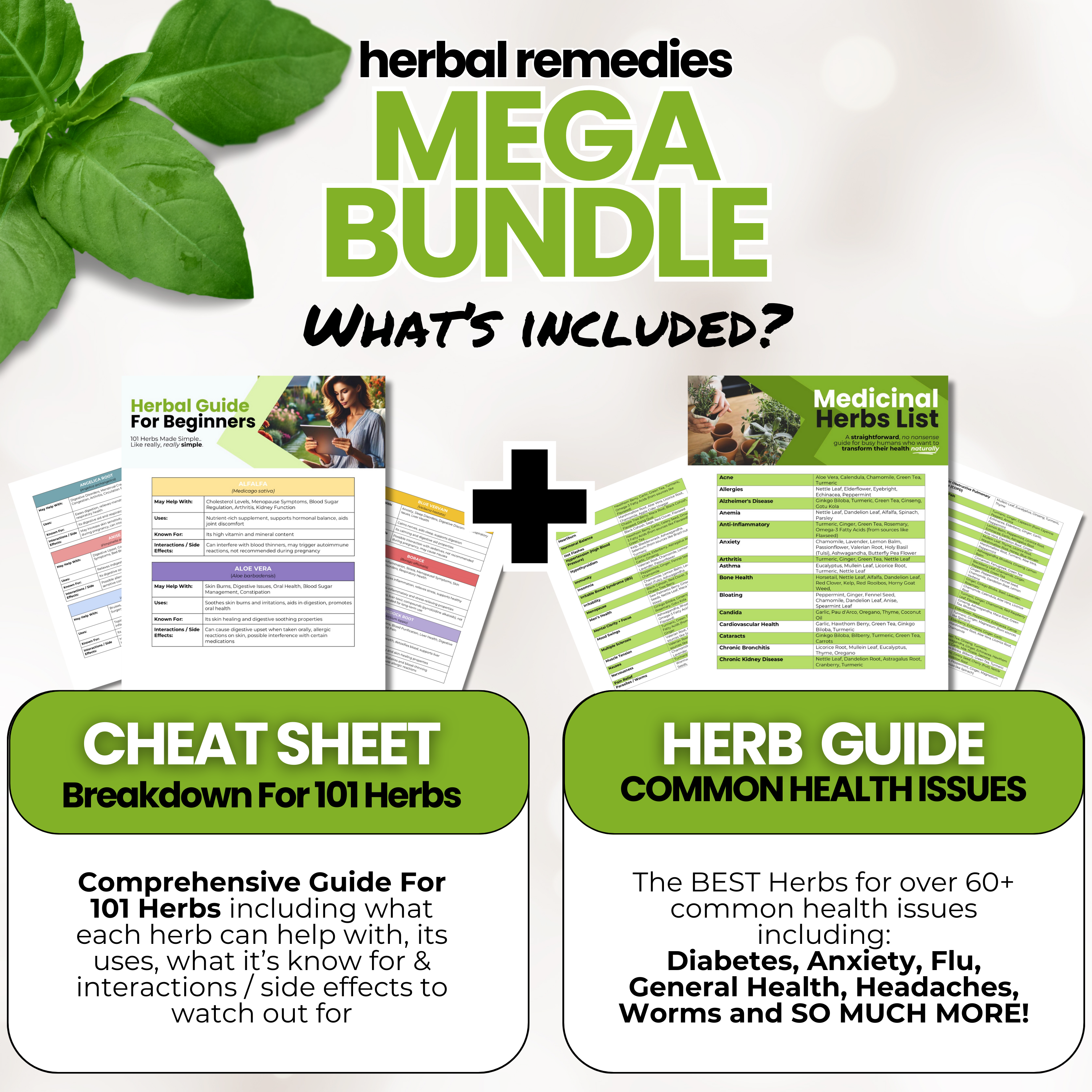 The Ultimate Herbal Remedies CHEAT SHEET