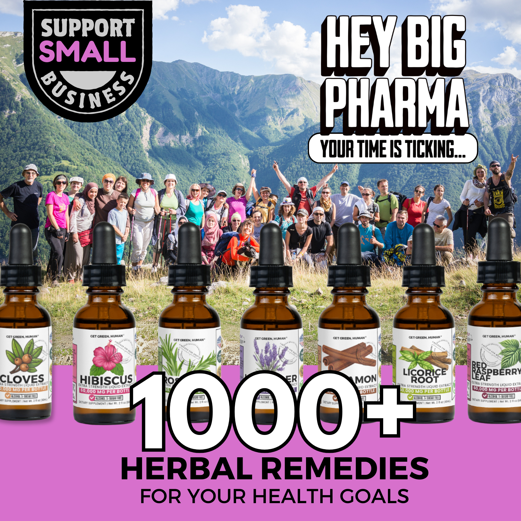 Milk Thistle Tincture | Liver, Detox & Recovery Support