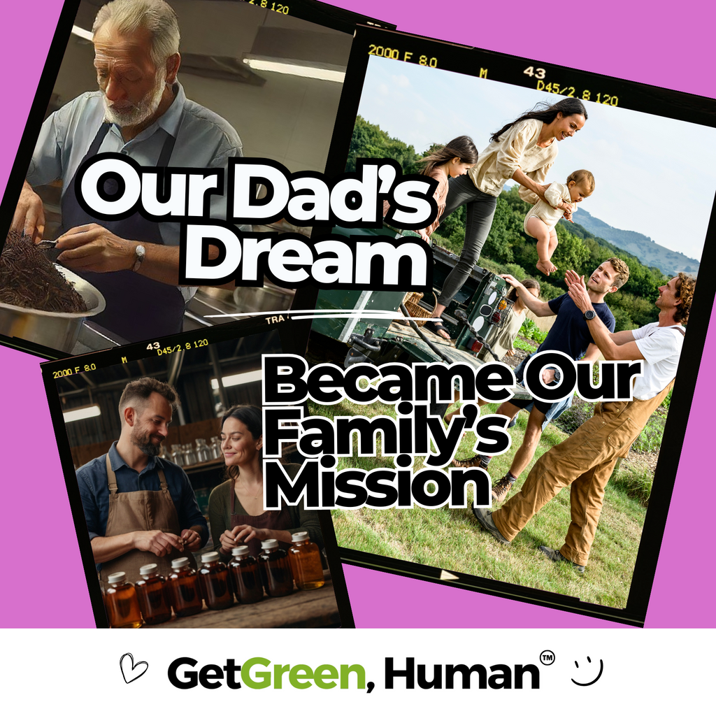 Milk Thistle Tincture | Liver, Detox & Recovery Support