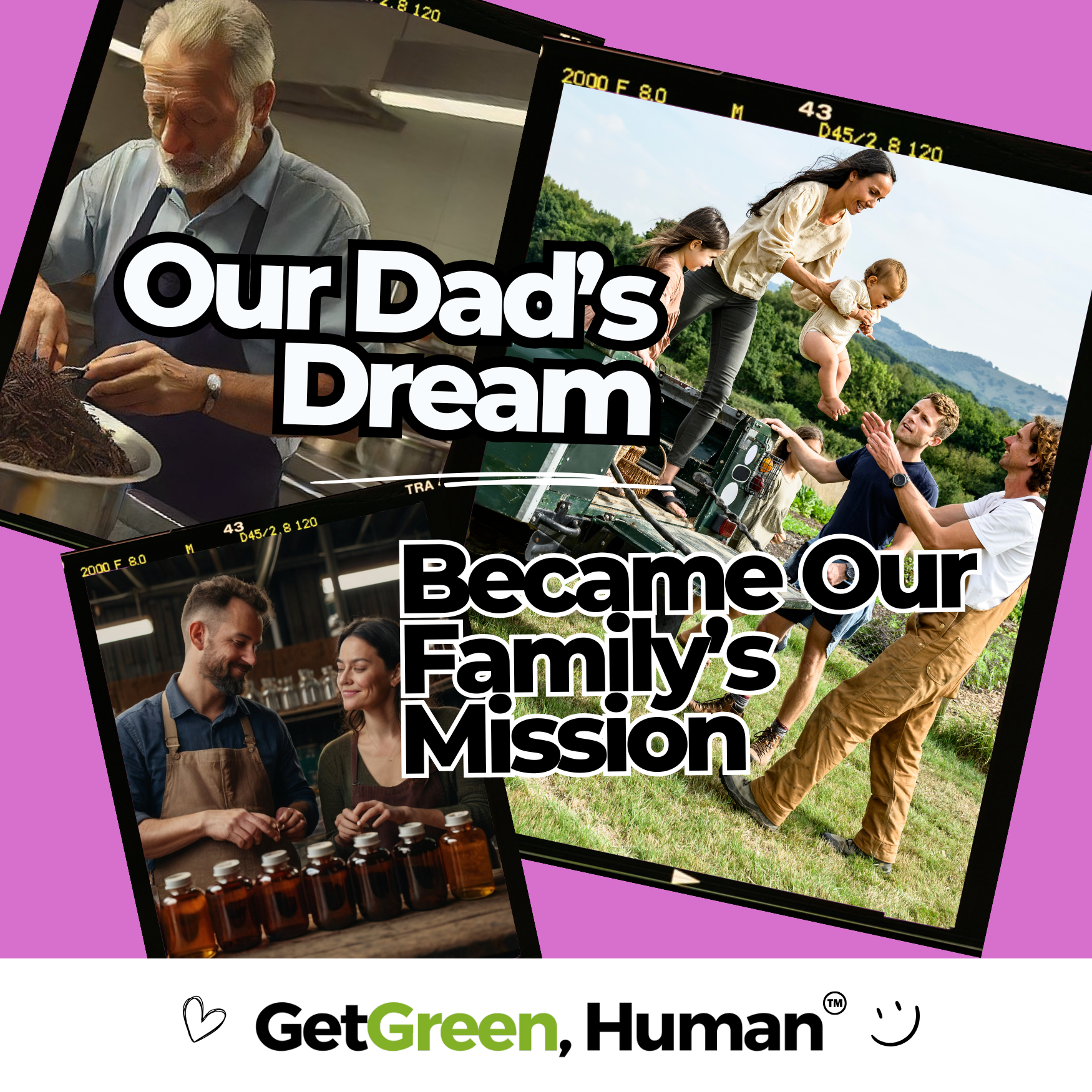 Milk Thistle Tincture | Liver, Detox & Recovery Support