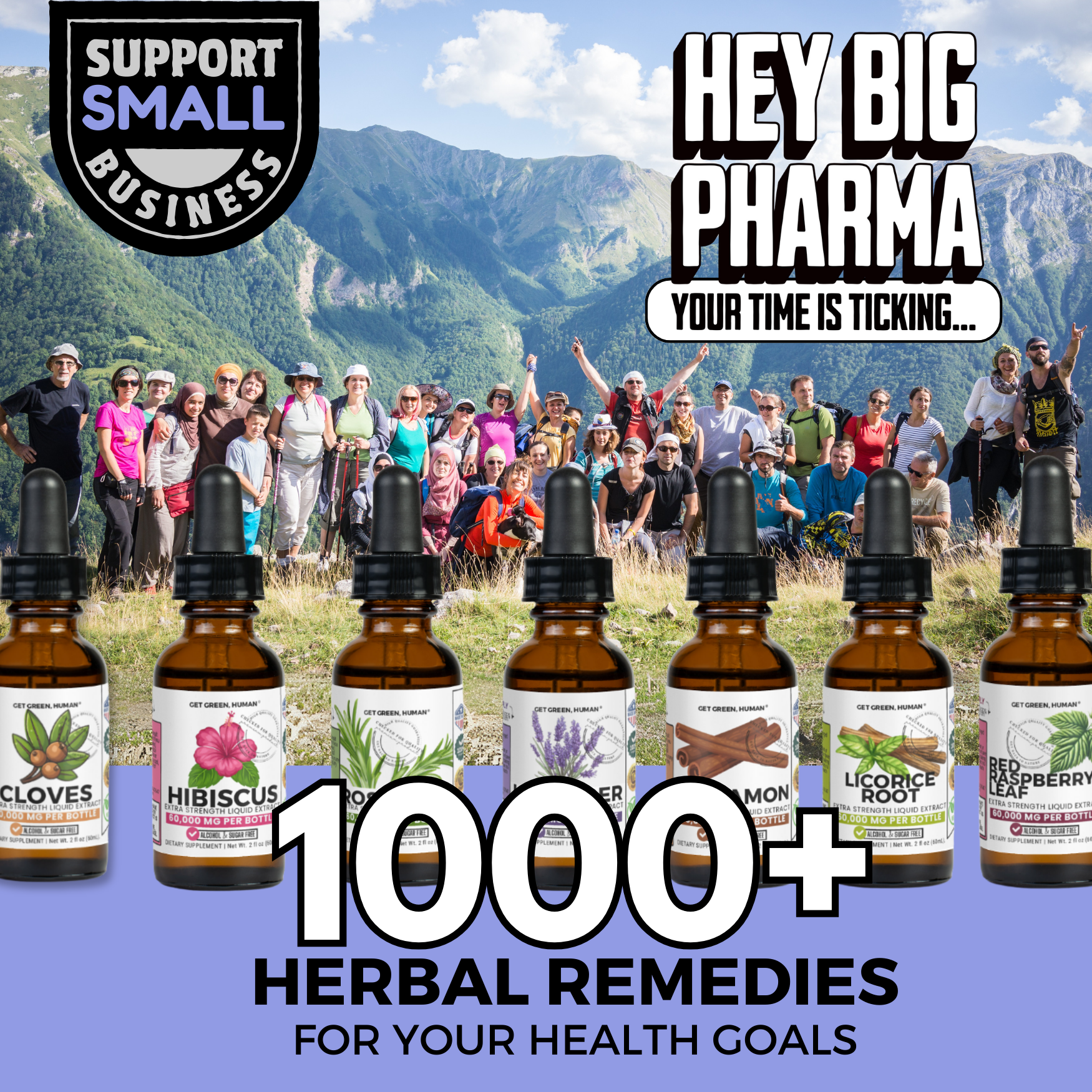 Passionflower Tincture | Sleep, Calm & Nervous System Support