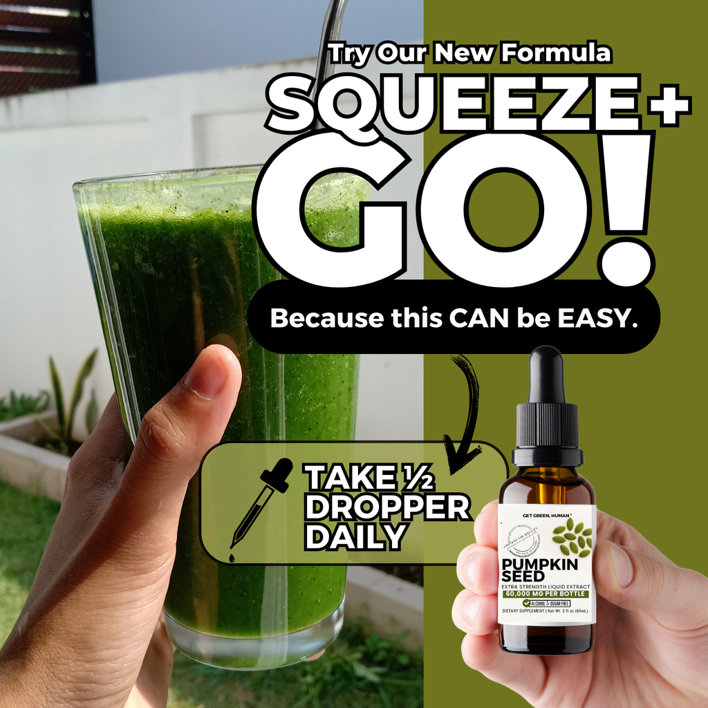 Pumpkin Seed Tincture | Gut, Bladder & Hormone Support