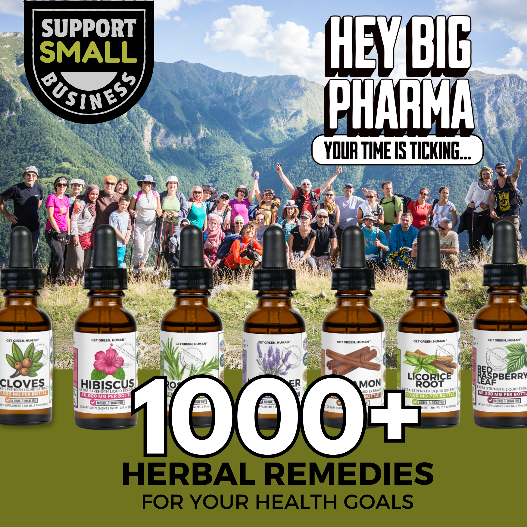 Pumpkin Seed Tincture | Gut, Bladder & Hormone Support